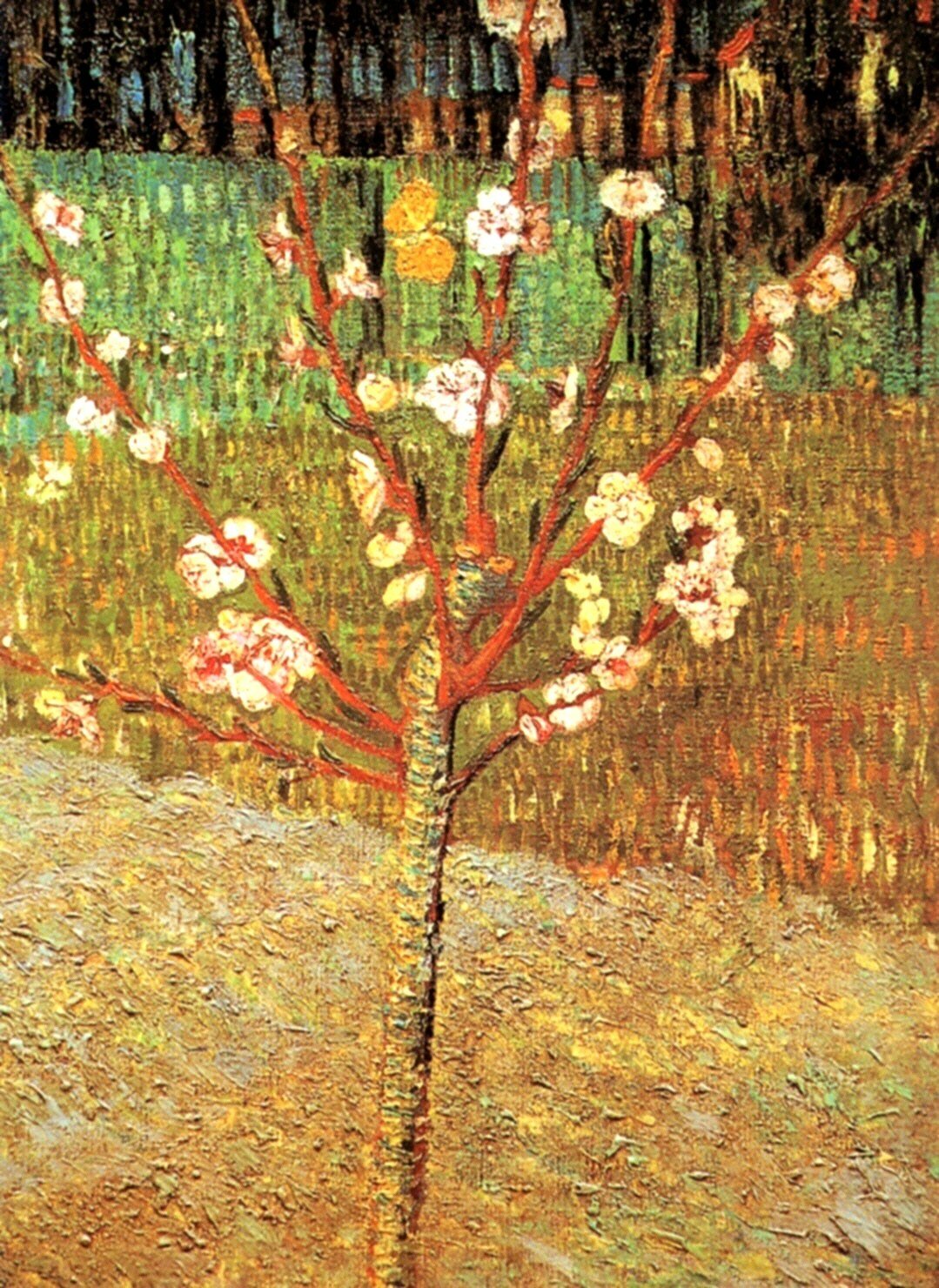  Ван Гог Миндаль в цвету 